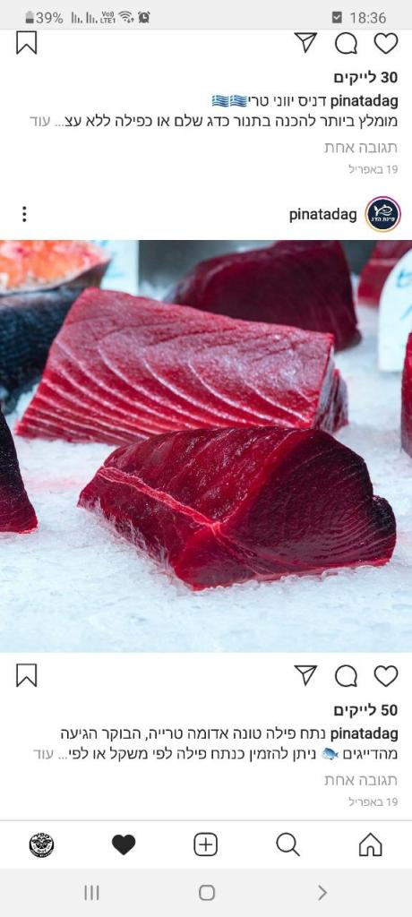 ספיר דגים ספיר דגים