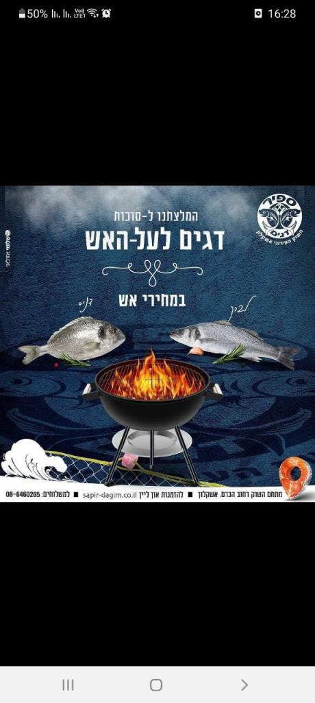 ספיר דגים ספיר דגים