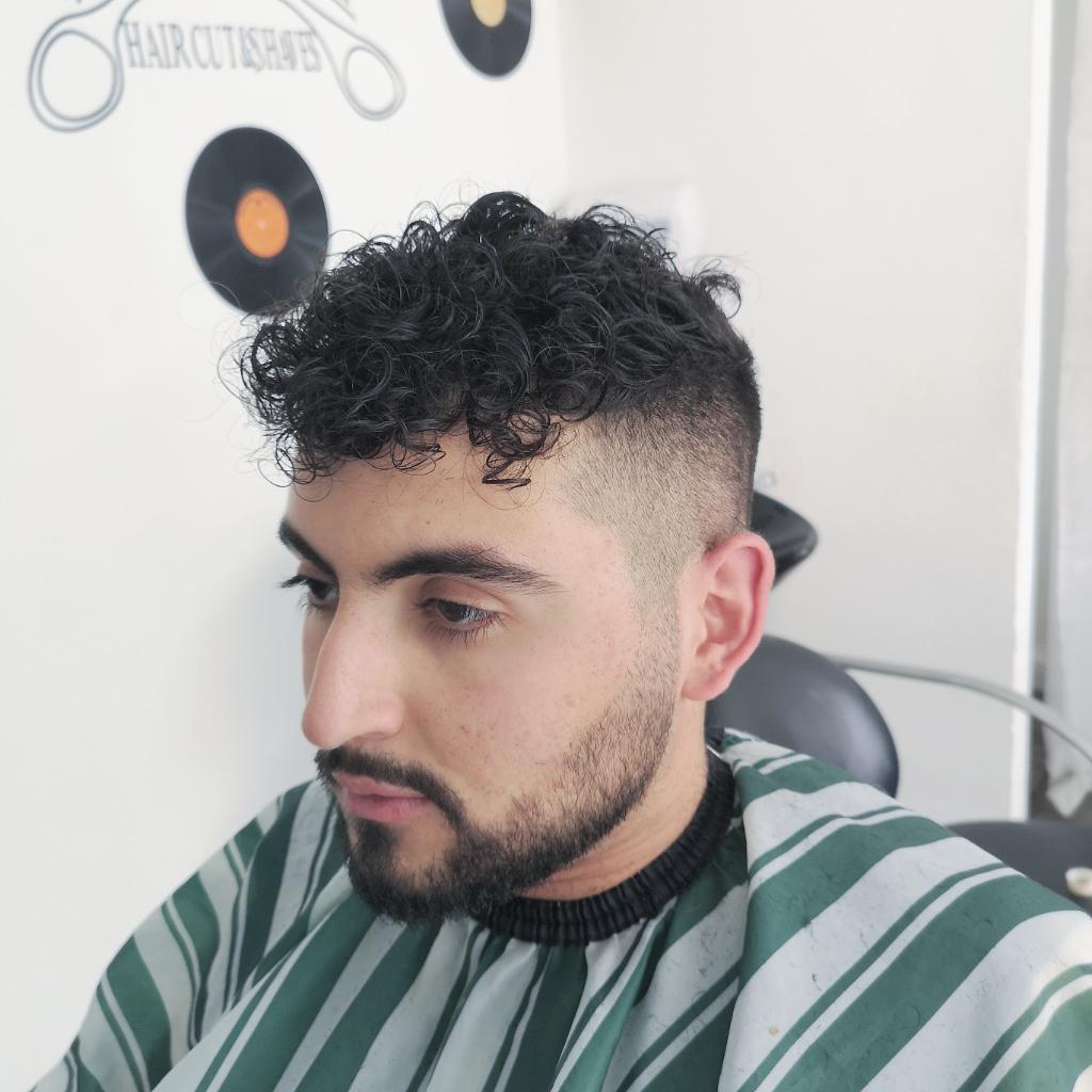 טל חיים טל חיים