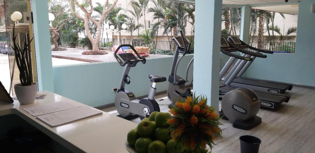 ספא באלאנס ספא באלאנס