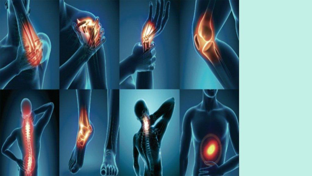 היופי שלי היופי שלי