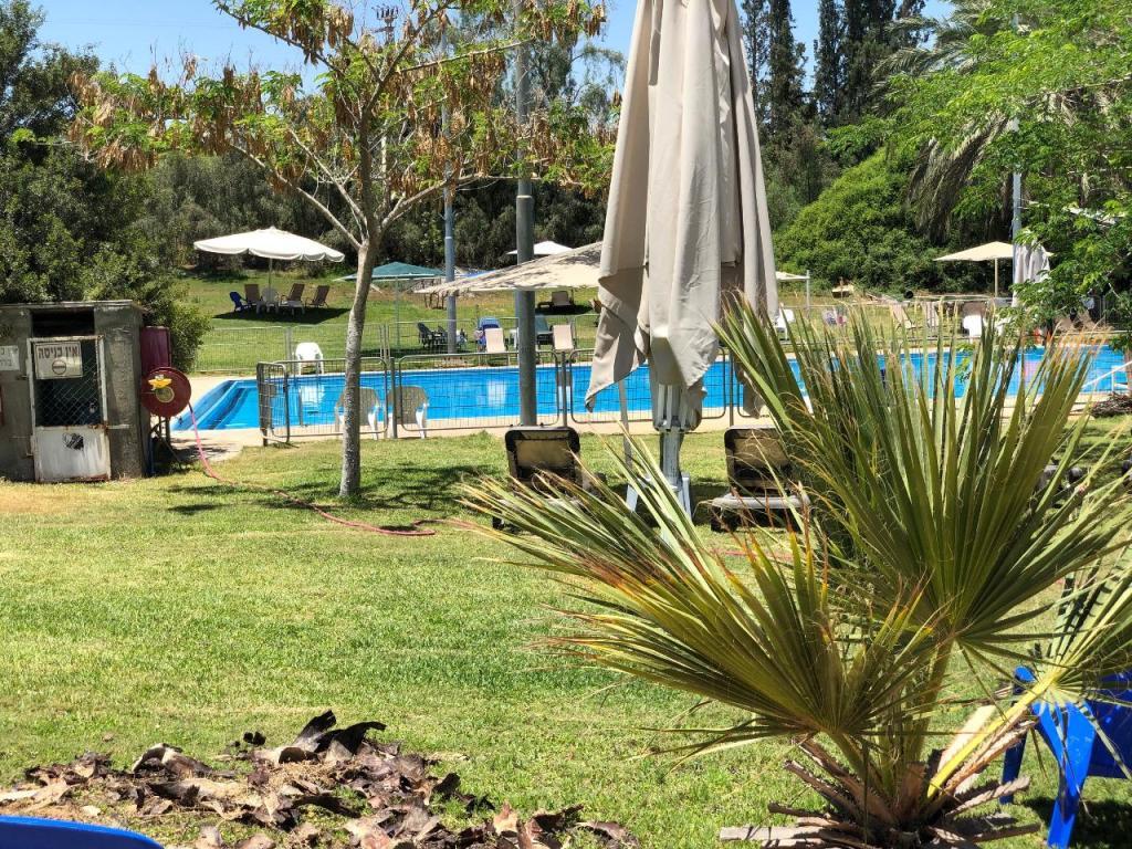 בריכת אשלים בריכת אשלים