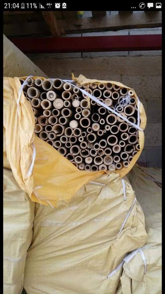 רפאל סחר עץ רפאל סחר עץ