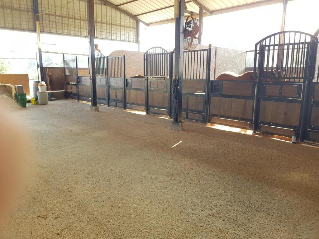 החווה של נוי החווה של נוי