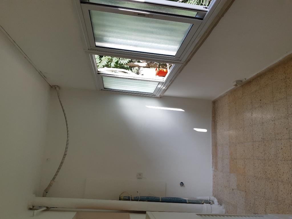 המקצוען המקצוען