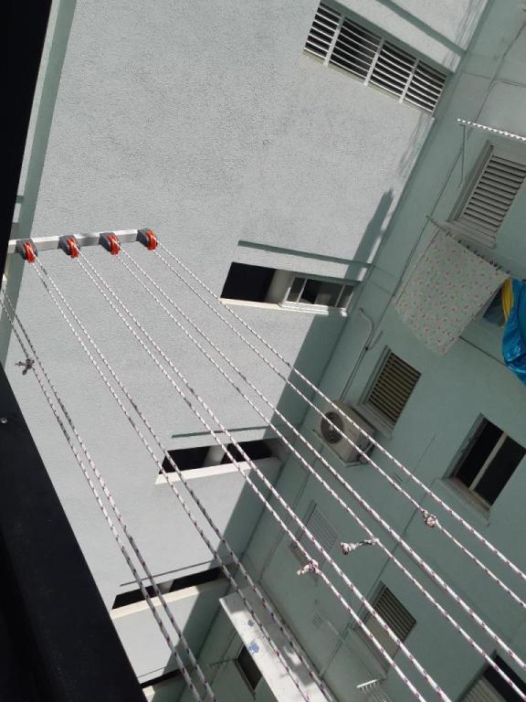 המקצוען המקצוען