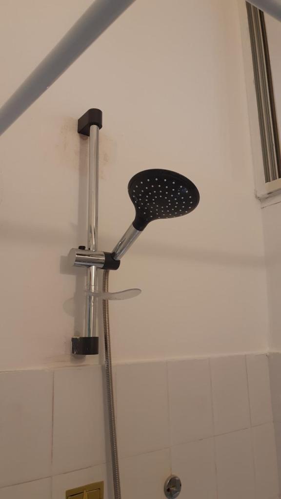 המקצוען המקצוען