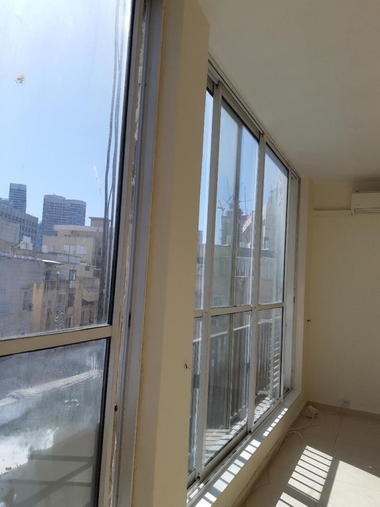 המקצוען המקצוען