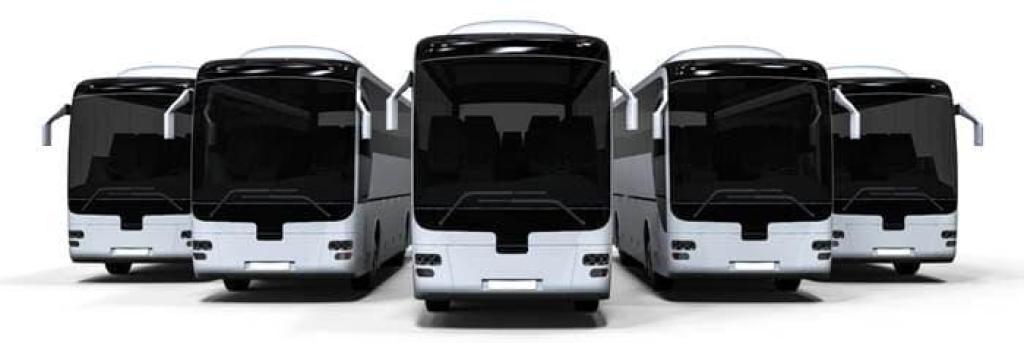 זעפרני הסעות זעפרני הסעות