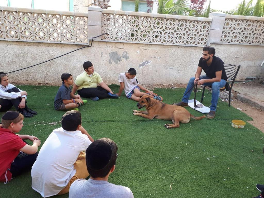 Homiedog אילוף כלבים Homiedog אילוף כלבים