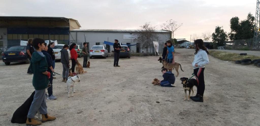 Homiedog אילוף כלבים Homiedog אילוף כלבים