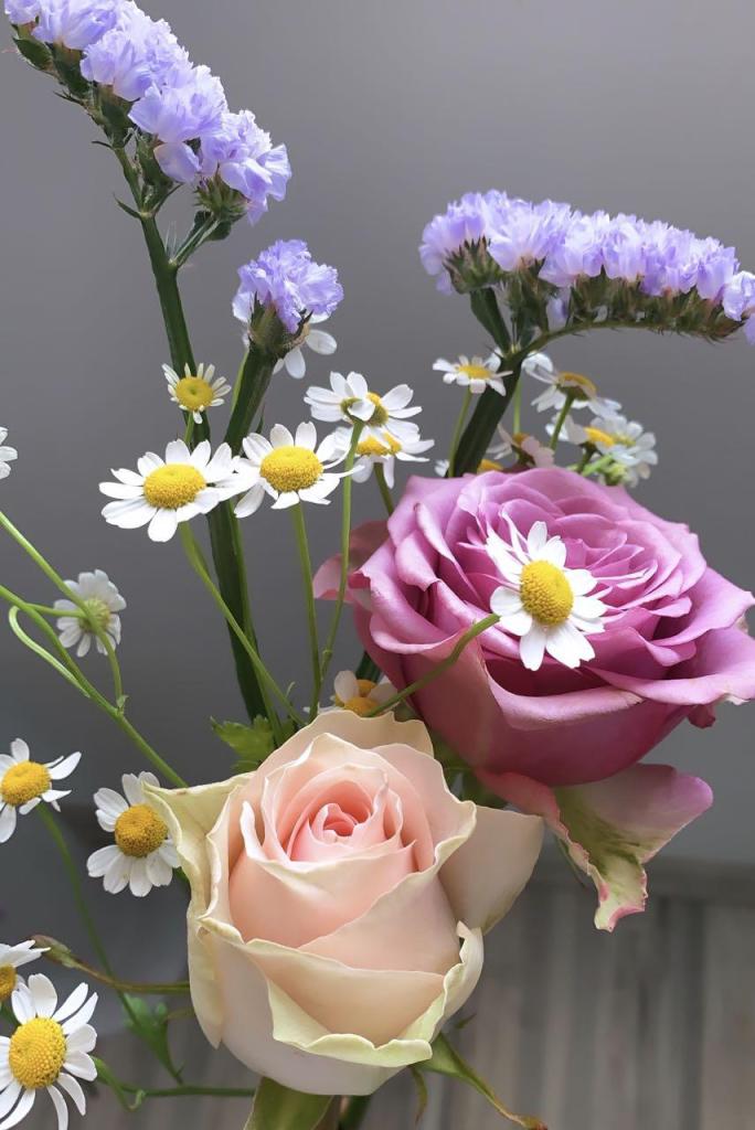 Lily's Garden Lily's Garden