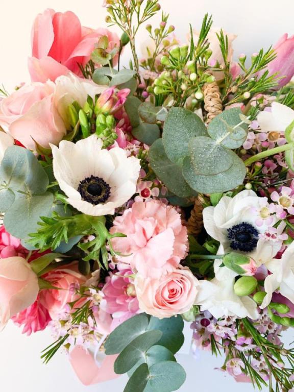 Lily's Garden Lily's Garden