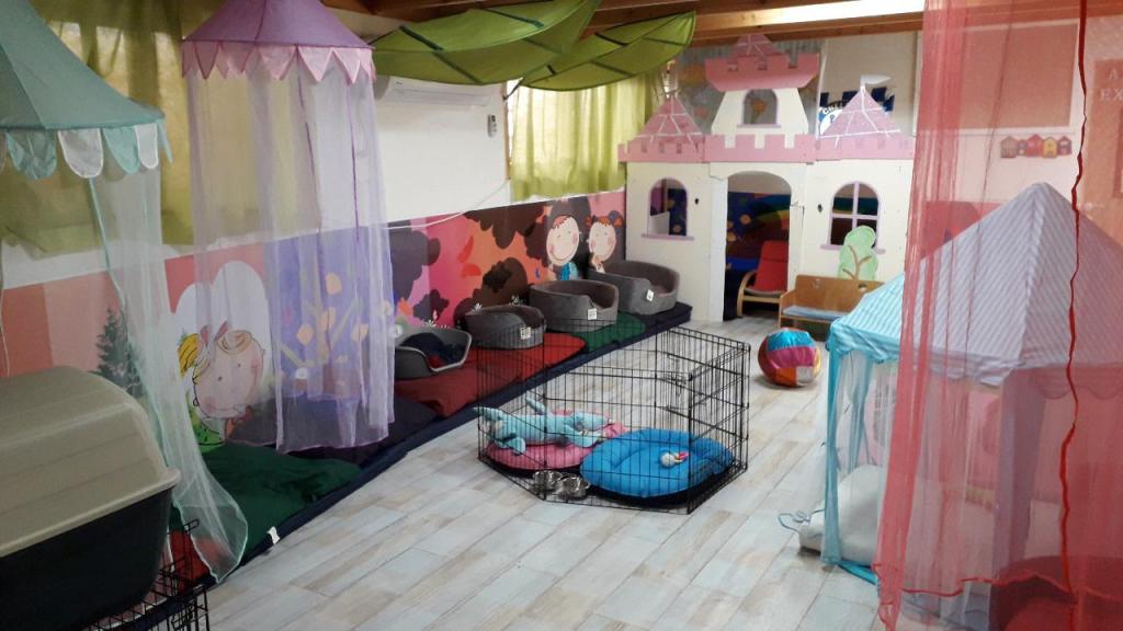 אנימל & ספא אנימל & ספא