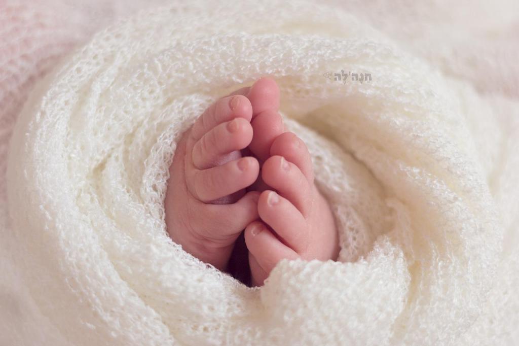 חנה'לה צילום חנה'לה צילום