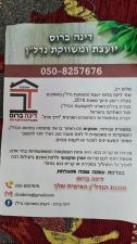 דינה ברוס