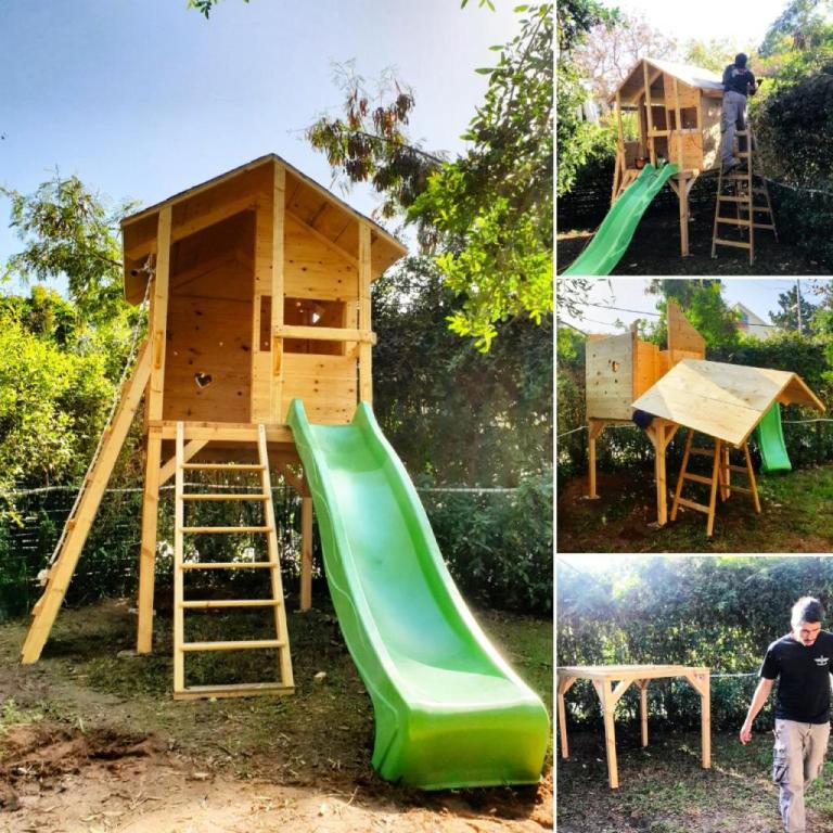 העץ של יאשה העץ של יאשה