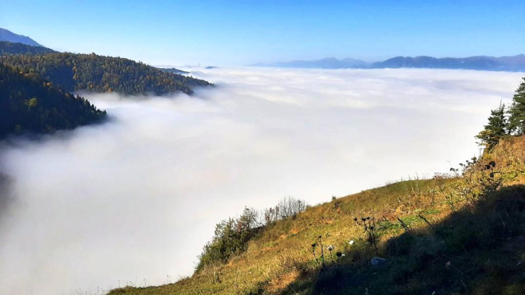 ארט טרוול גאורגיה ארט טרוול גאורגיה