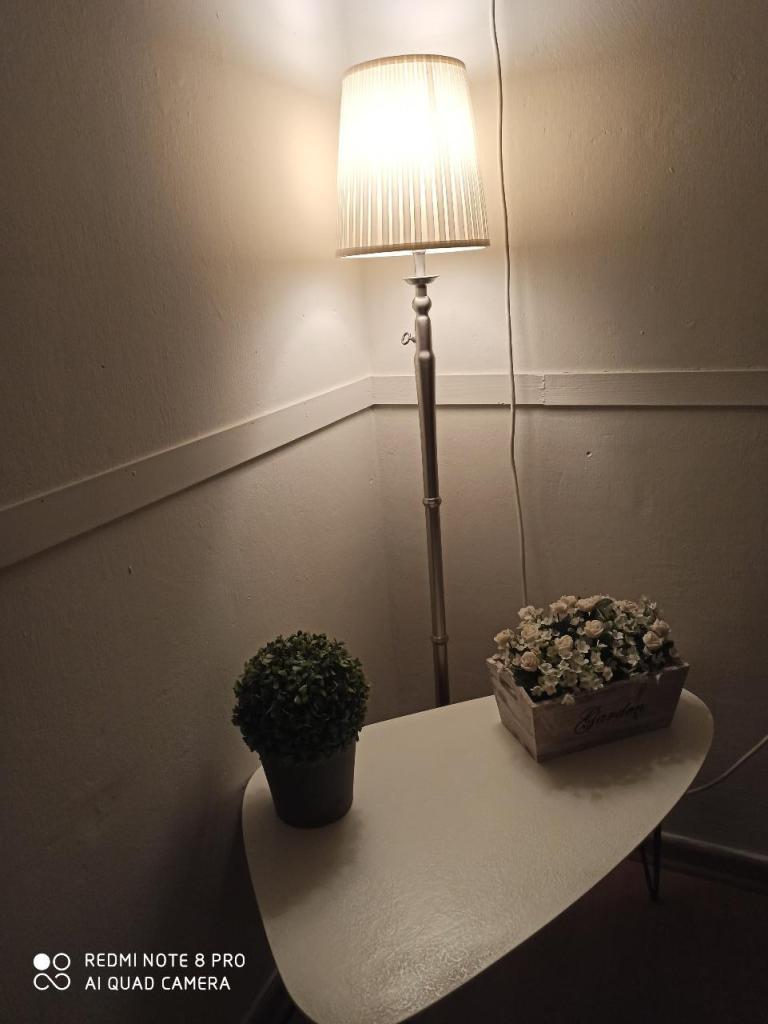 עץמהות רוזית איתן עץמהות רוזית איתן