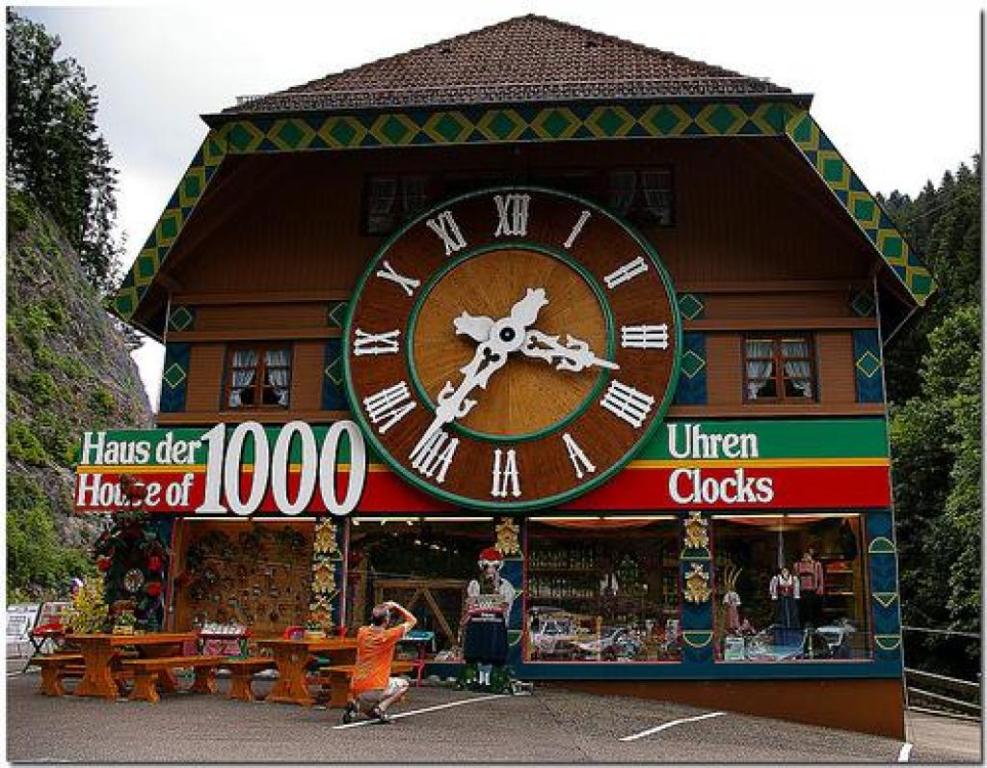 היער השחור היער השחור