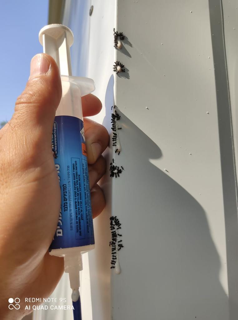 M.A הדברות M.A הדברות