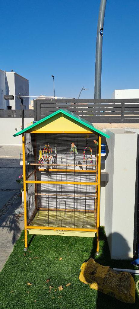 כלובים וציפורים כלובים וציפורים