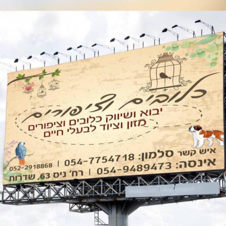 כלובים וציפורים כלובים וציפורים