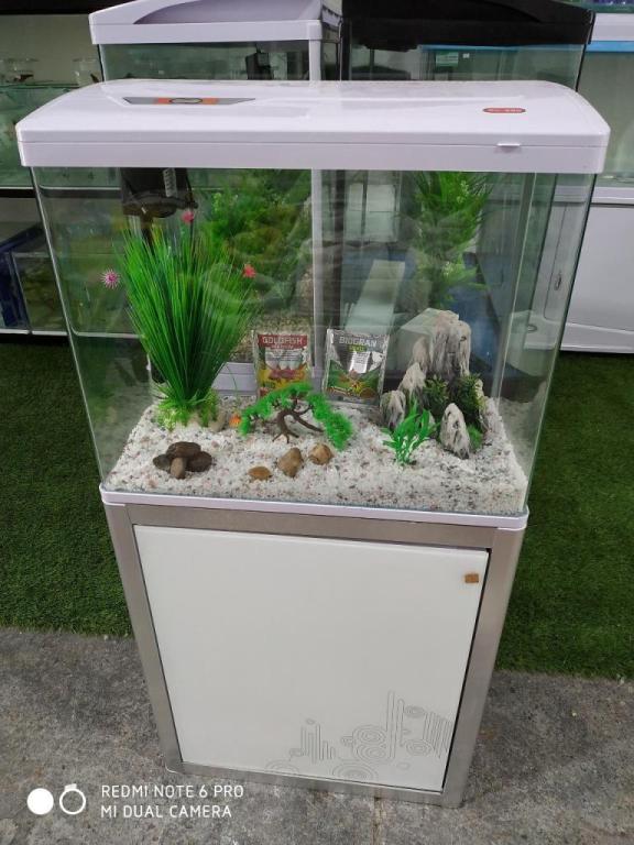 כלובים וציפורים כלובים וציפורים