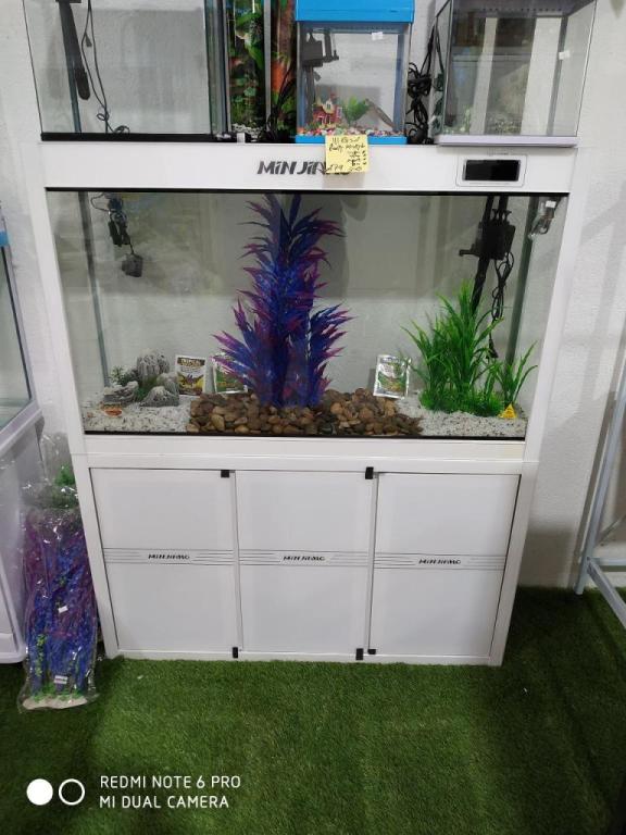 כלובים וציפורים כלובים וציפורים