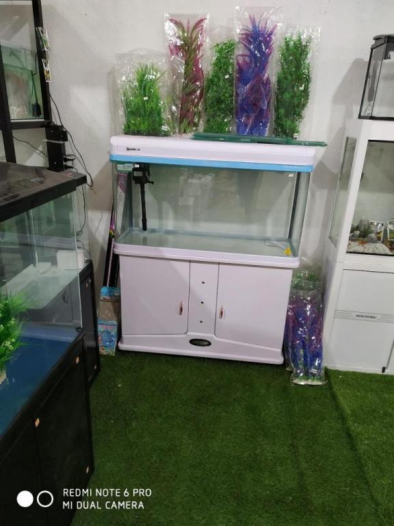 כלובים וציפורים כלובים וציפורים