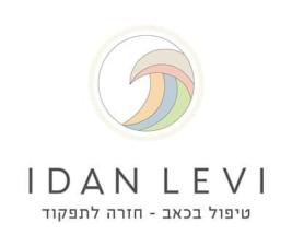 עידן לוי