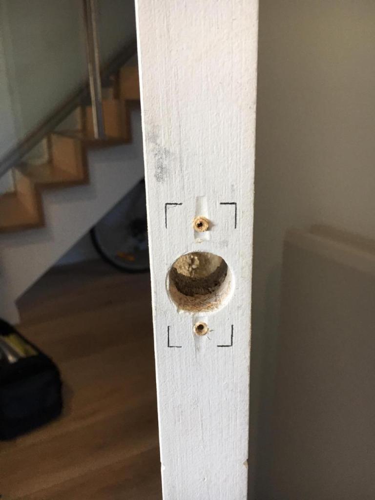 סילבר לוקסמיט סילבר לוקסמיט