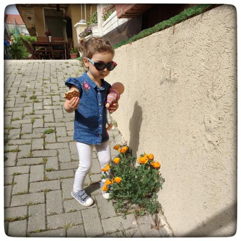 הטיפול שבאמנות הטיפול שבאמנות