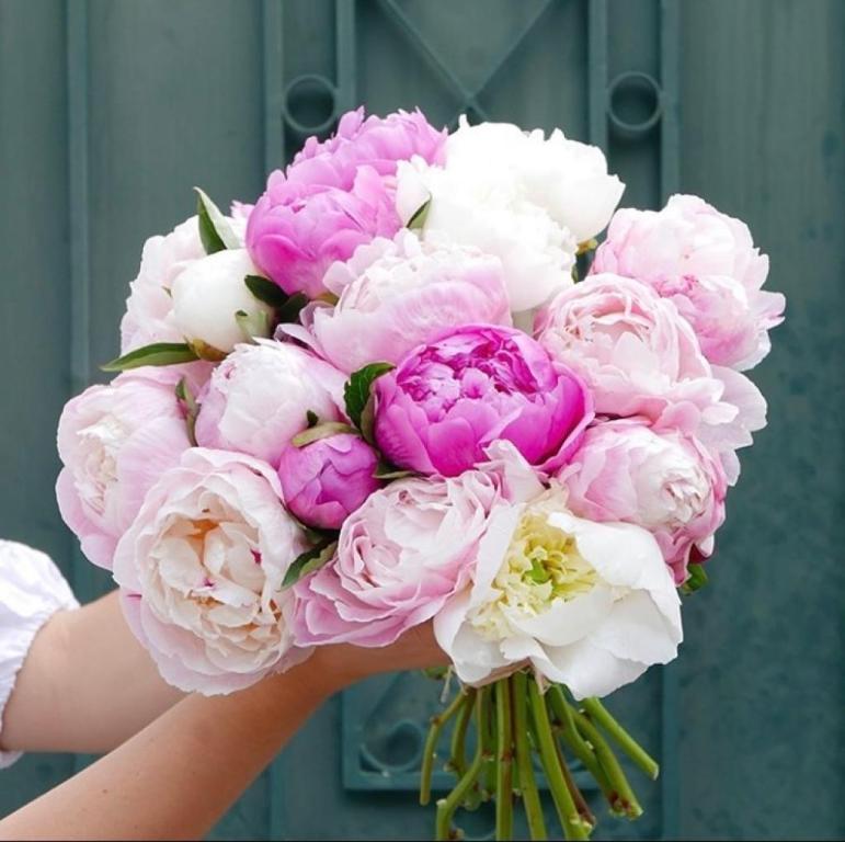 Monceau Fleurs TLV Monceau Fleurs TLV