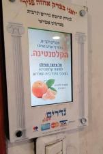 הפרדס והכרם