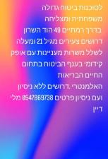 אריה אופיר