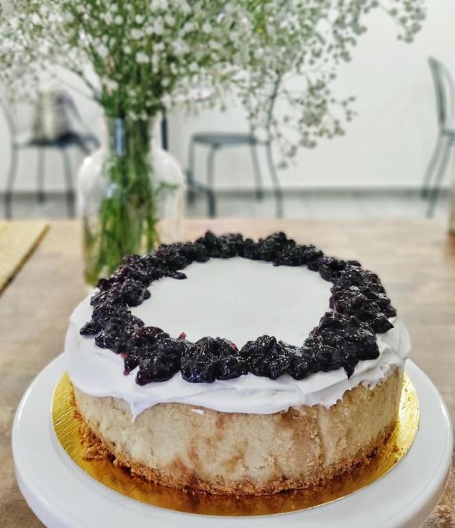 Vivida ויוידה Vivida ויוידה