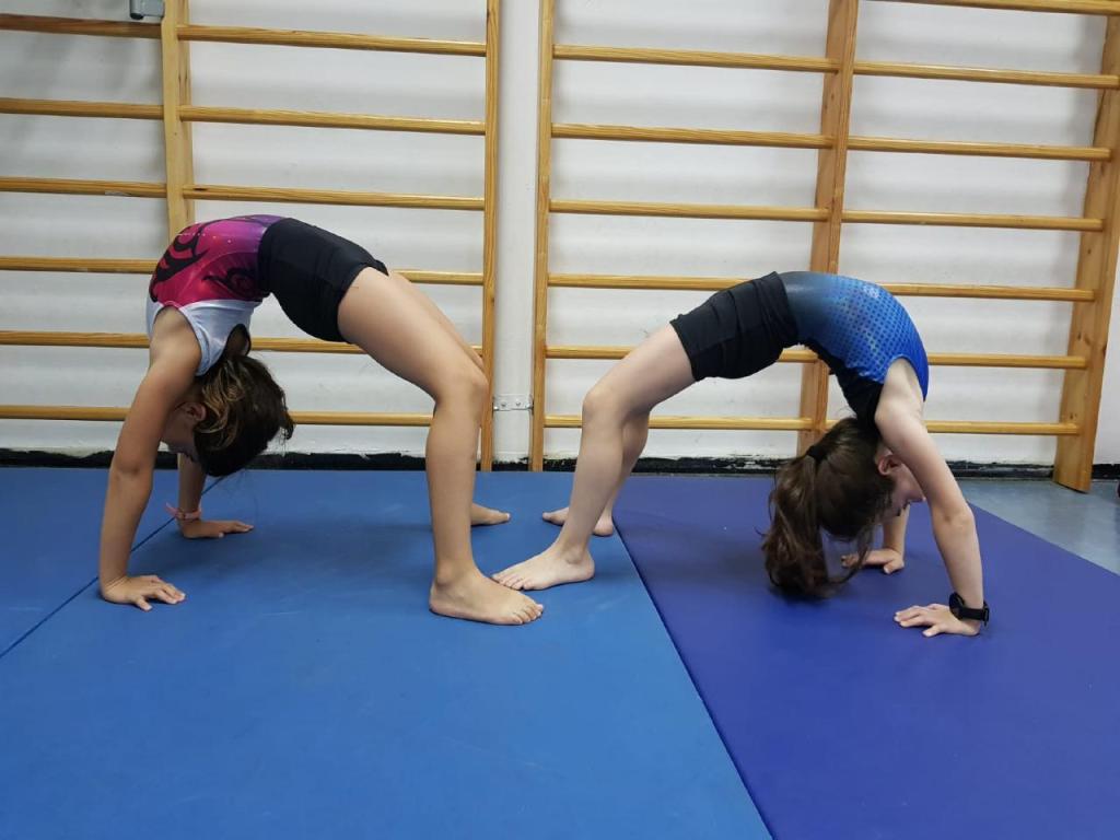 קנגורו התעמלות לילדים קנגורו התעמלות לילדים