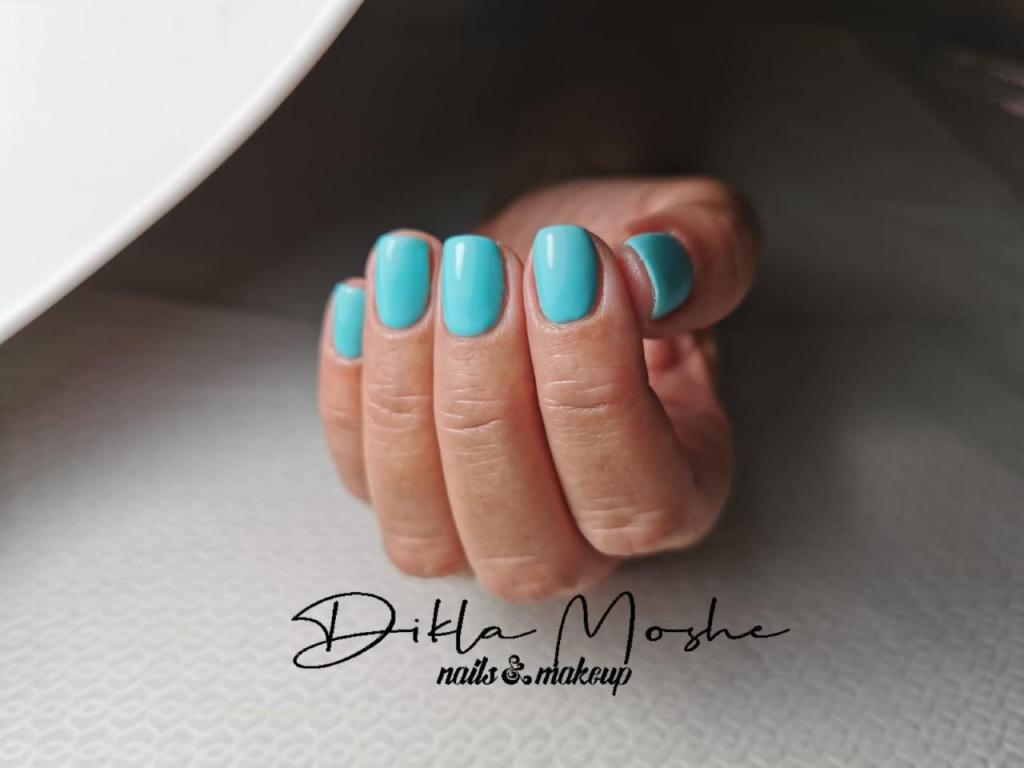 דיקלה משה דיקלה משה