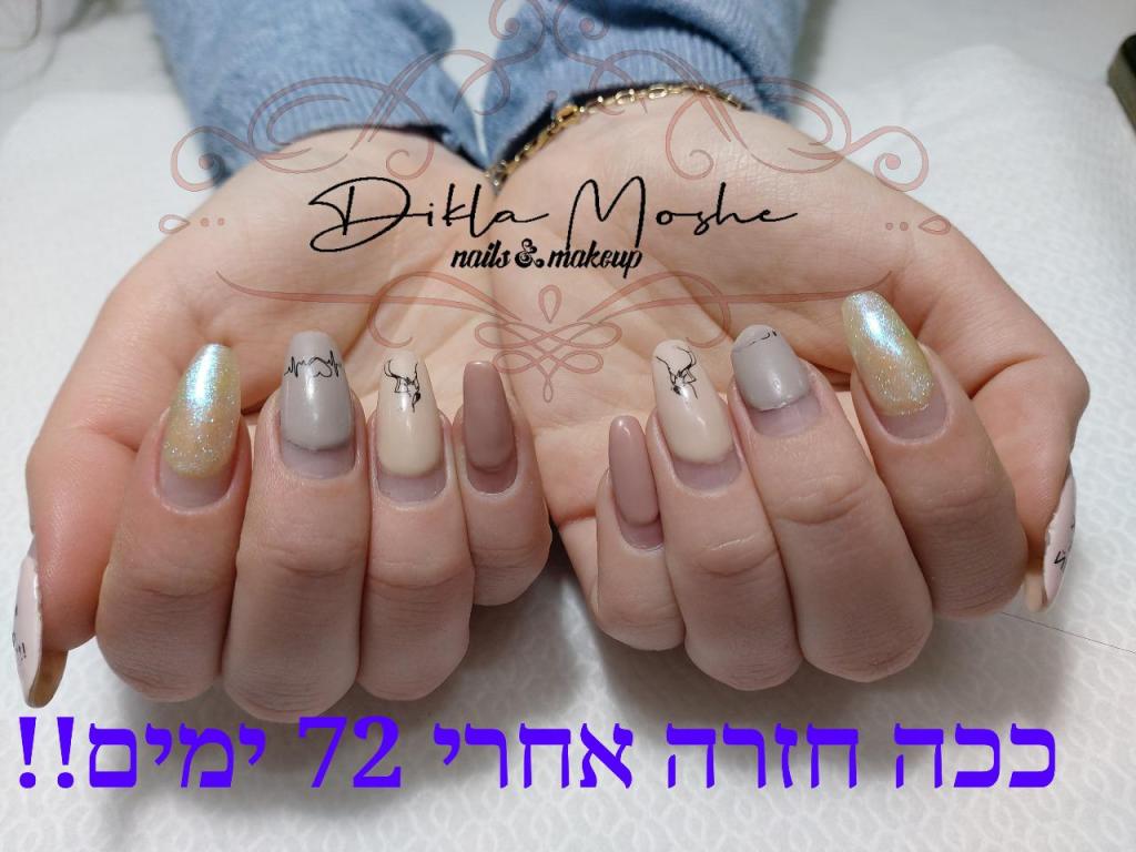 דיקלה משה דיקלה משה