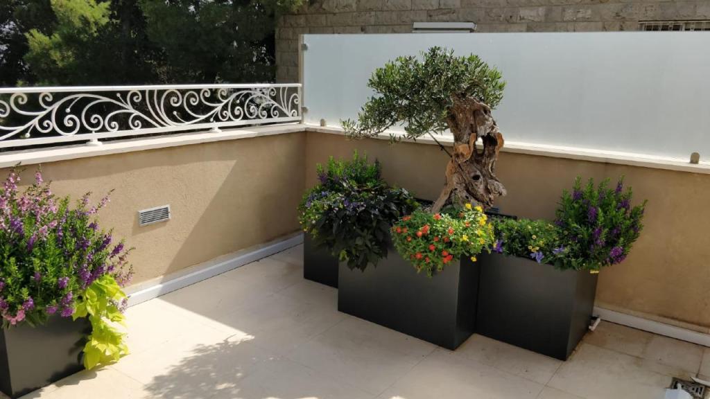 אלעד היימן גינון ופיתוח אלעד היימן גינון ופיתוח