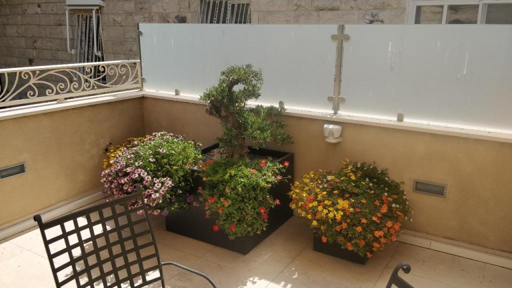 אלעד היימן גינון ופיתוח אלעד היימן גינון ופיתוח