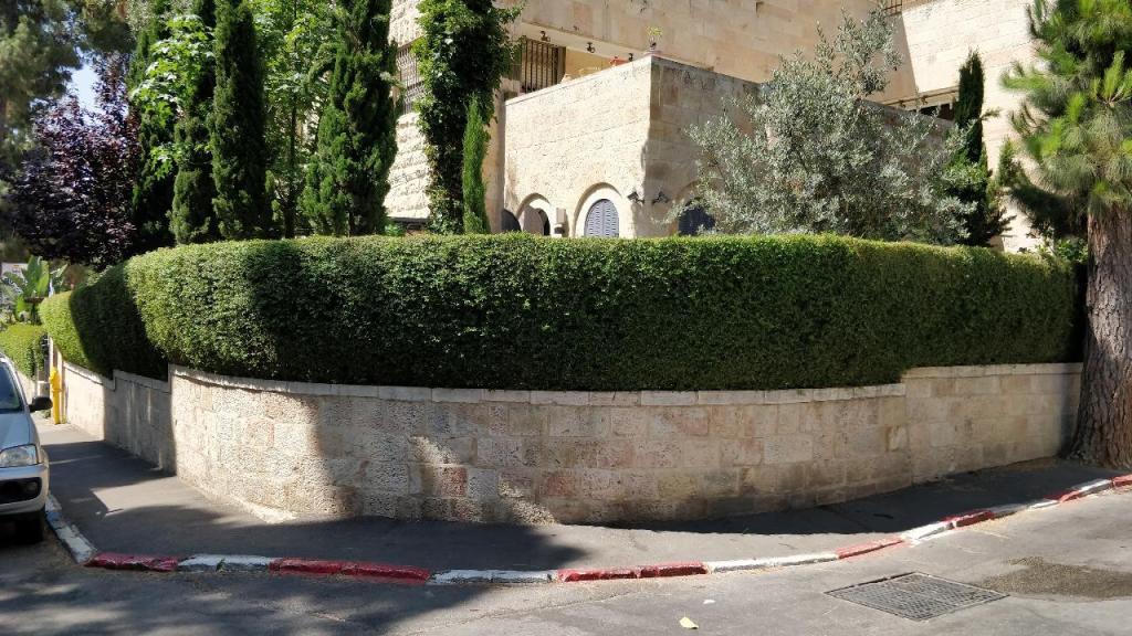 אלעד היימן גינון ופיתוח אלעד היימן גינון ופיתוח