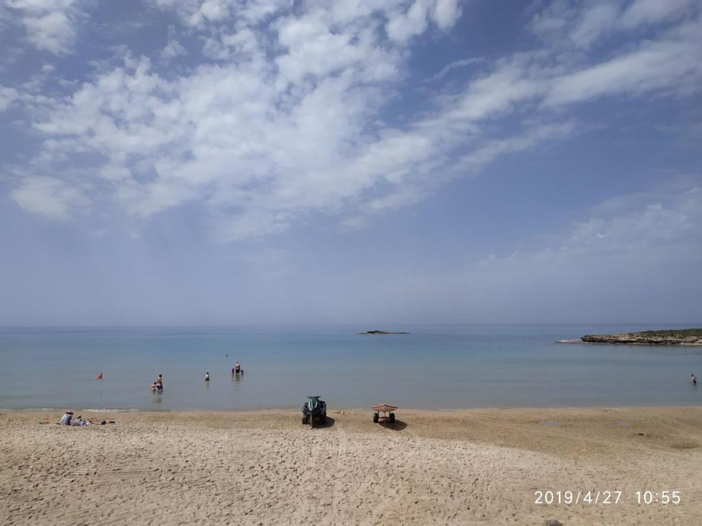 דרך הגל By The Wave דרך הגל By The Wave