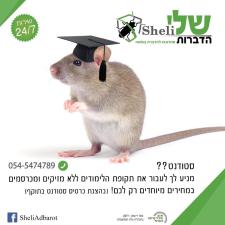 שלי הדברות