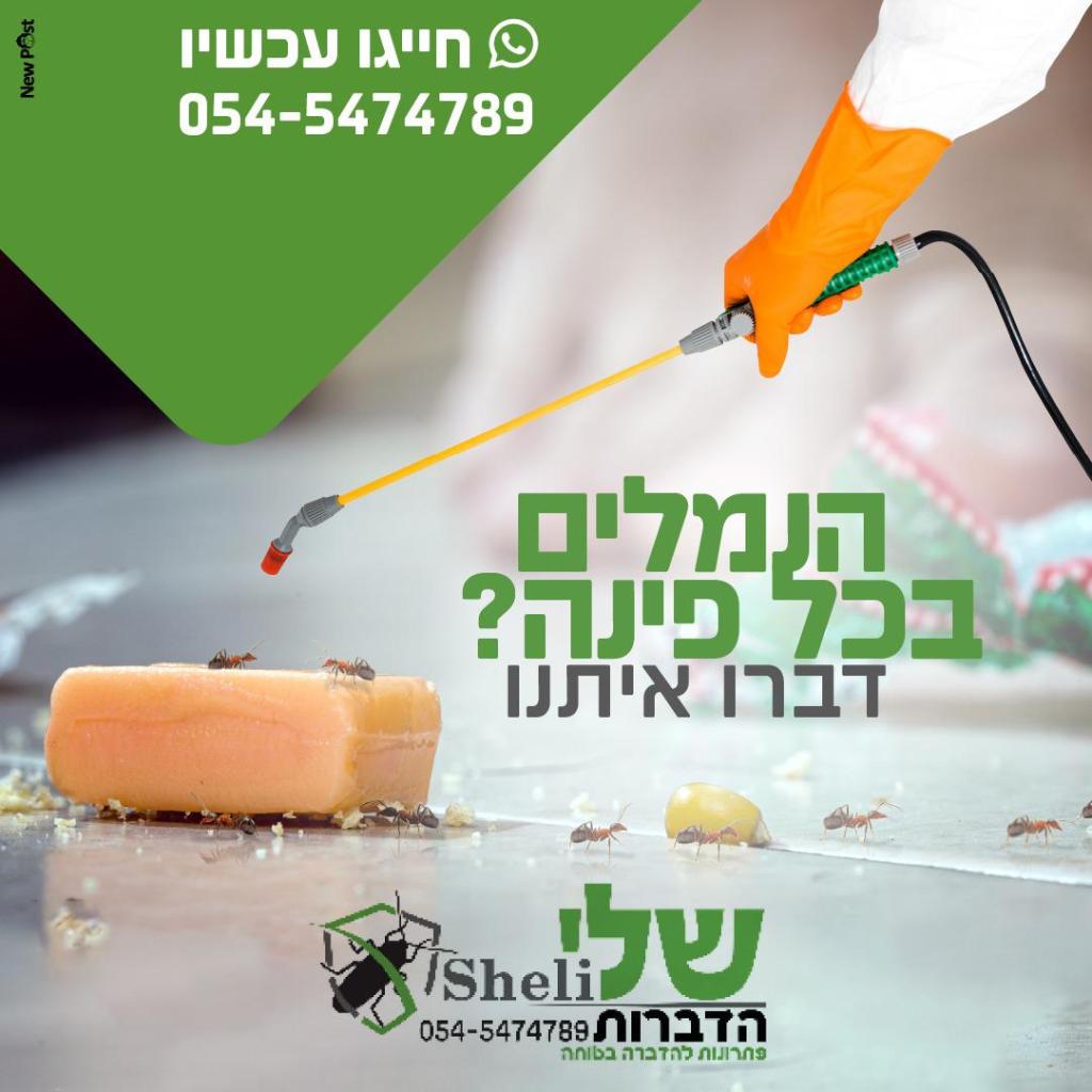 שלי הדברות שלי הדברות