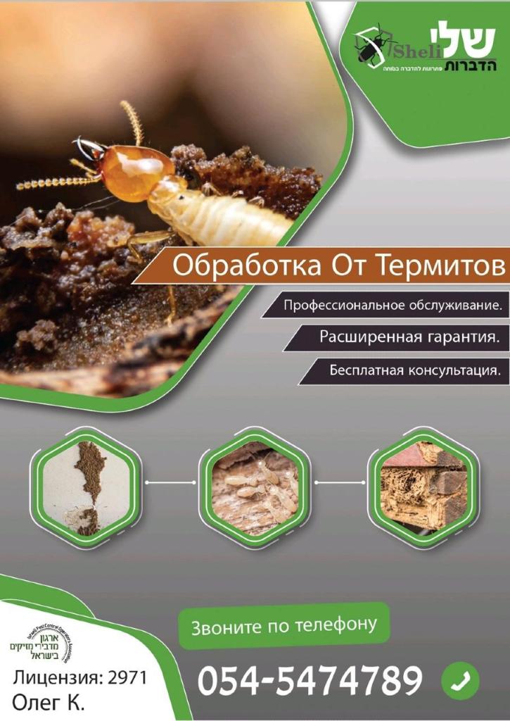 שלי הדברות שלי הדברות