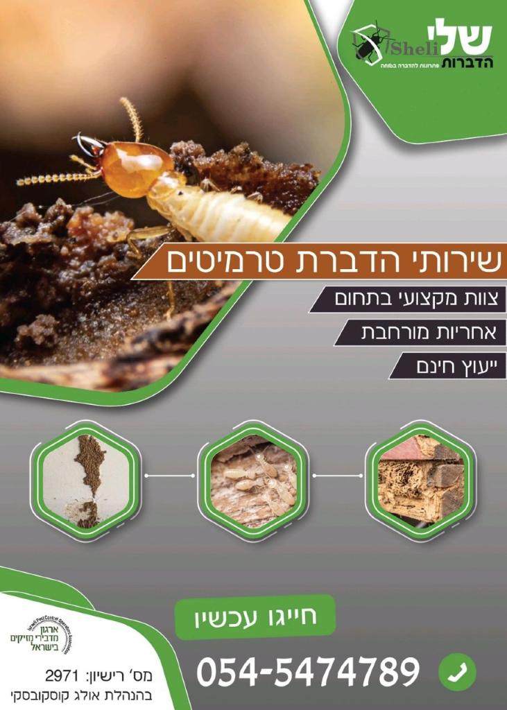 שלי הדברות שלי הדברות