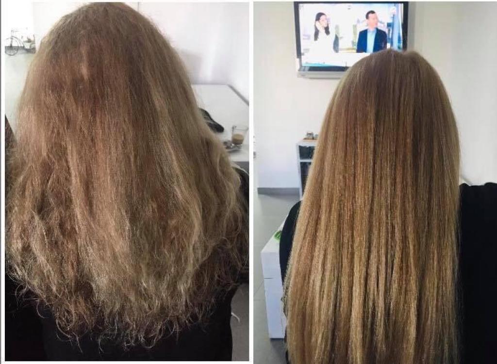 חן אביב חן אביב