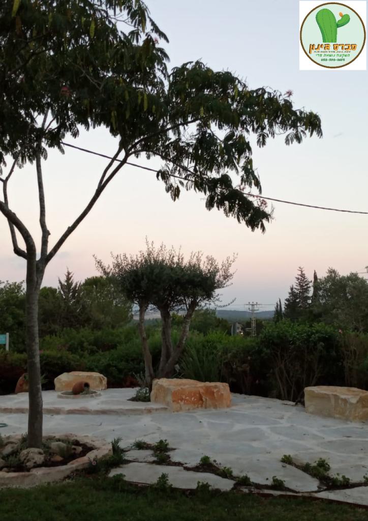 סברס גינון סברס גינון